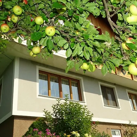 Greim * Sankt Peter am Kammersberg