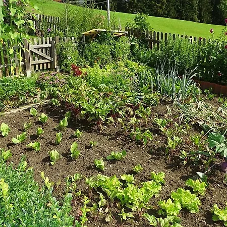 Greim Apartmán Sankt Peter am Kammersberg