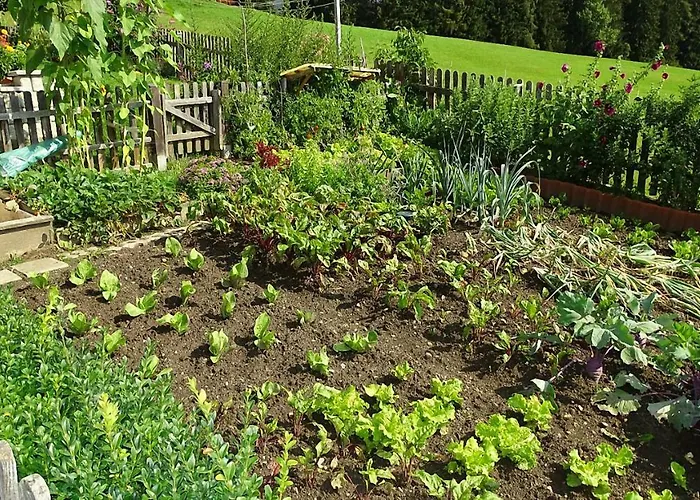 Greim Appartement Sankt Peter am Kammersberg